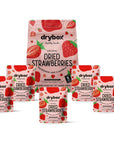 Drybox Dried Strawberries No Sugar Added, 5 PORTION SNACK PACKS Sliced Strawberry Chips Dehydrated Fruit Snack, All Natural non-GMO Unsweetened Gluten Free, 0.5 oz per pack, 5 Packs