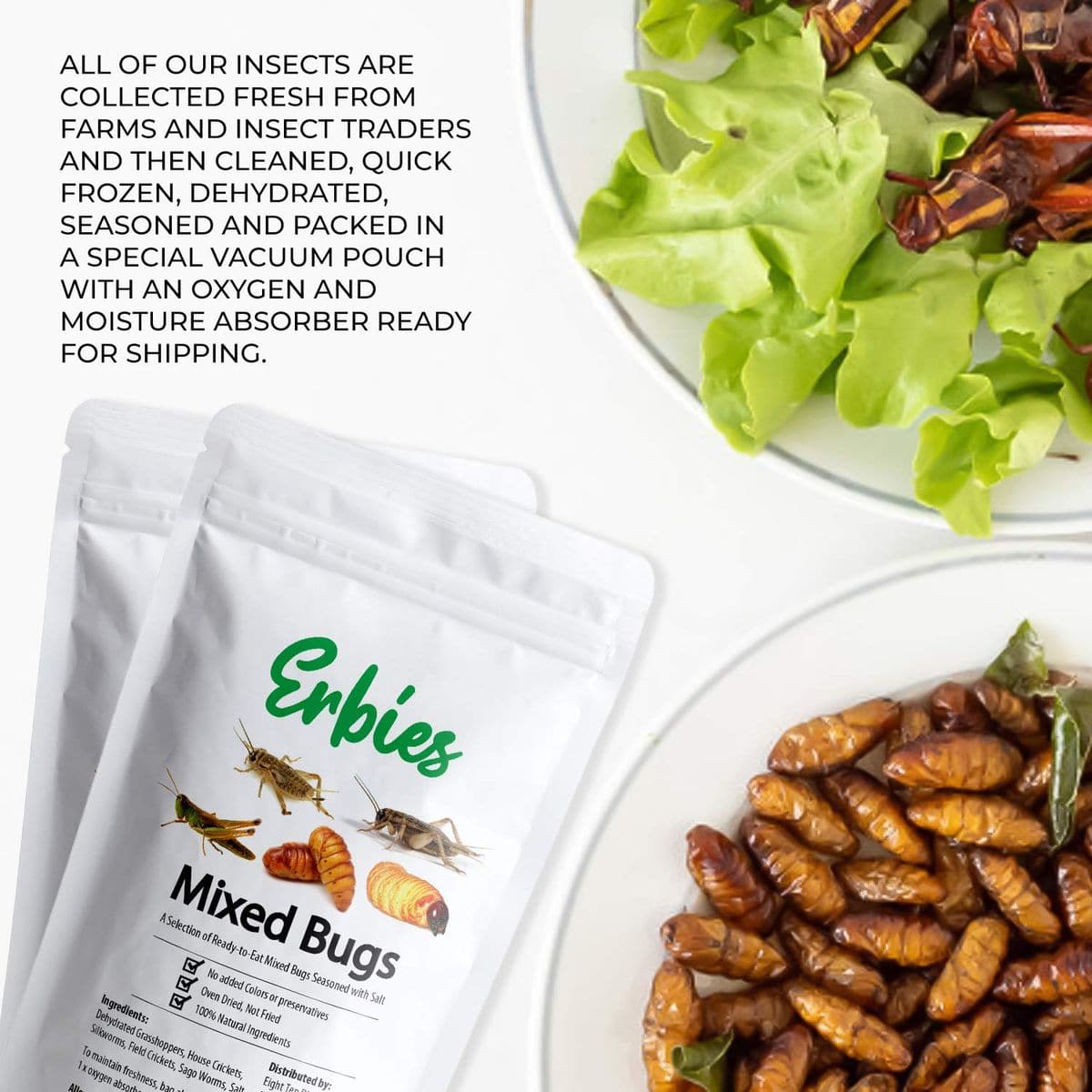 Erbies Edible Bug Mixed Trail Mix 15g Bag Seasoned and Crunchy Insects Crickets Grasshoppers Silkworm Pupae and Sago Worms Protein Packed Unique Snacks Fun Snacks Gift Idea 1Pack