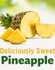 DEL MONTE DELUXE GOLD Pineapple Chunks in 100 Pineapple Juice Canned Fruit 12 Pack 20 oz Can