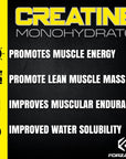 FORZAGEN Creatine Monohydrate Powder Unflavored, Micronized Creatine Powder for Muscle Gain for Men & Women, Creatina Monohidratada en Polvo, Creatina para Aumentar la Masa Muscular - 72 Servings