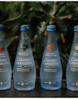 Clearly Canadian Sparkling Flavored Water 4 Flavor Sampler 12 Pack Variety