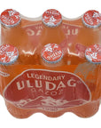 Uludag Legendary Orange Flavored Carbonated Soft Drink  Portakal Efsane Gazoz  6 Pack 84 oz  250 ml