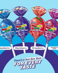 Colombina Bon Bon Bum Lollipops wBubble Gum Center Berry Explosion Mix Individually Wrapped Ideal for Party Favors and Gifts 1 Pack 10 Count