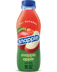 Snapple Apple Juice Drink 16 fl oz recycled plastic bottle Pack of 12