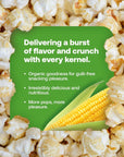 Ava Farms Organic Yellow Popcorn Kernels  24 Oz Bag GlutenFree Non GMO  Natural Healthy Kosher Popping Corn  UnPopped