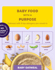 Ready, Set, Food! Organic Baby Oatmeal Cereal | Banana Apple | Organic Baby Food with 9 Top Allergens: Peanut, Egg, Milk, Cashew, Almond, Walnut, Sesame, Soy & Wheat | Unsweetened | Fortified with Iron | 15 Servings