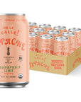 De La Calle Tepache  Grapefruit Lime  Modern Mexican Soda  Craft Fermented Pineapple Sparkling Beverage  Certified Organic Antioxidant Rich NonAlcoholic Healthy Soda Low Sugar Low Calorie NonGMO