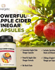 Premium Apple Cider Vinegar Capsules - Includes Apple Pectin, Spirulina & Kelp - ACV to Help Support Overall Wellness - Powerful Apple Cider Vinegar Pills - 90 Apple Cider Vinegar Capsules