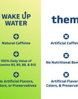 Wake Up Water Energy  Hydration Mix  Citrus  Energy  Hydration Powder Packets With Natural Caffeine Electrolytes B Vitamins  No Sugar  Daily Fuel With No Crash Or Jitters  Citrus15 Count