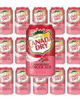 Generic Canada Dry Cranberry Ginger Ale Soda 12 Fl Oz 12 Cans Cranberry