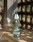 Borjomi Sparkling Natural Mineral Water Plastic Bottles 253 Fl Oz Pack of 6