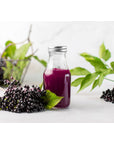 Food to Live Black Elderberry Powder 1 Pound  Raw Dried Berries Unsulfured Vegan Bulk for Baking Juices Smoothies Yogurts Instant Breakfast Drinks No Sulphites Contains Maltodextrin