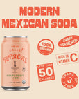 De La Calle Tepache  Grapefruit Lime  Modern Mexican Soda  Craft Fermented Pineapple Sparkling Beverage  Certified Organic Antioxidant Rich NonAlcoholic Healthy Soda Low Sugar Low Calorie NonGMO