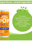 TEAONIC Fresh Pop Immunity Soda With Orange And Elderberry PlantPowered Sparkling Juice LowCalorie Soda No Sweetener Keto Friendly Vegan Wellness Drink 12 Cans Each Weighing 12 Fl Oz