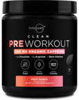 Type Zero Clean Pre Workout (11.3 oz, Fruit Punch) + Beet Root + L-Arginine + L-Citrulline, 2G Arginine, L-Citrulline Malate, Beta A, Sugar Free, Organic Caffeine Preworkout for Men & Women