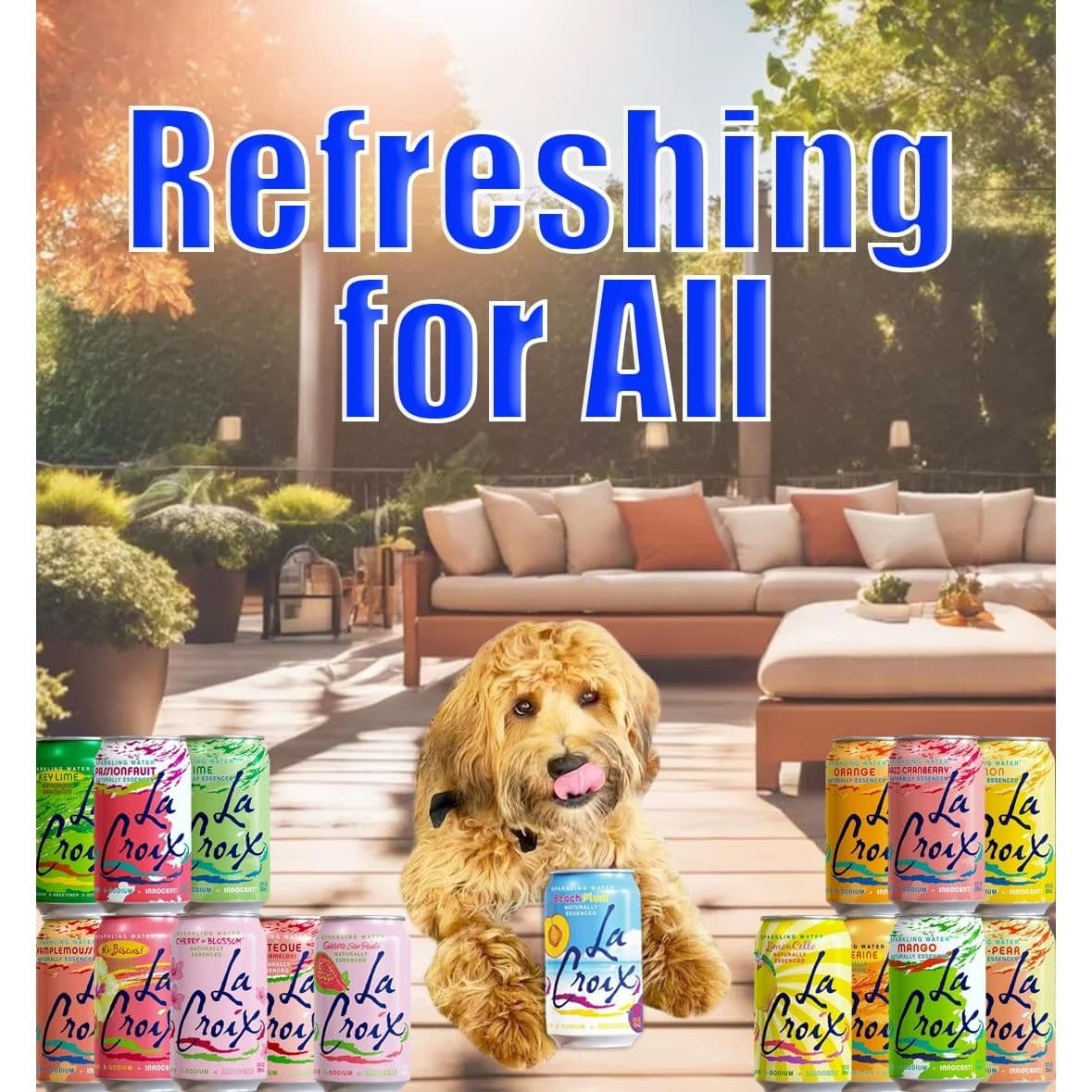 La Croix Sparkling Water 16 Flavor Variety Pack  Lacroix Seltzer Water  La Croix Flavored Carbonated Water Sparkling Water Cans Variety  La Croix Seltzer Variety Pack  Sparkling Water La Croix