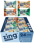 Zing Kids Protein Bars Variety Pack Gluten Free 100 Calorie Mini Bars with High Protein Vegan Nutrition Bars Dairy Free Plant Based Protein  24 count