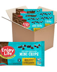 Enjoy Life Foods Baking Chocolate Semi-Sweet Mini Chips, 60 Ounce (Pack of 6)