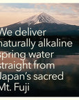 MTN WTR Naturally Alkaline Spring Water  Made by Mt Fuji Japan  Naturally Filtered Alkaline Spring Water in 16oz Recyclable Aluminum Cans Pack of 12