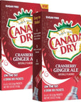 LLE Canada Dry Powder Drink Mix Cranberry Ginger Ale Flavor - 2 Boxes-12 Sticks Total