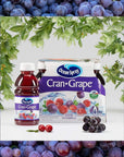 Ocean Spray Juice Drink, Cran-Grape - 10 Ounce Bottle (Pack of 6)