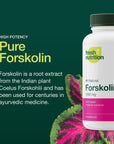 Forskolin Supplement - Potent 1500mg Coleus Forskohlii Extract with 20% Forskolin HPLC - Vegan - Non GMO, Gluten-free - 90 Capsules