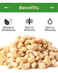 Sincerely Nuts  Raw Cashews Whole and Unsalted  Healthy Snack Source of Protein  Keto and Paleo Friendly Gourmet Quality Vegan  Cashew Nuts 5LB Bag