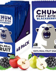 Chum Fruit Bites 100% Real Fruit Snacks | Berry, 48 Pack | Non-GMO, No Added Sugar or Preservatives | Top 12 Allergen and School Friendly, Nut-Free, Gluten-Free, Vegan, Kosher, Paleo