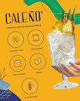 Caleño Light  Zesty Tropical NonAlcoholic Gin  AwardWinning NonAlcoholic Spirit  Expertly Distilled with a Mix of 10 Botanicals  169 Fl Oz 500ml