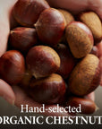 Wang Organic Roasted Chestnuts Shelled and Easy to Eat 211 Ounce Pack of 5