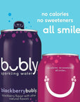 Bubly Sparkling Water Fizzy Sampler Variety 12 Fl Oz Pack of 18