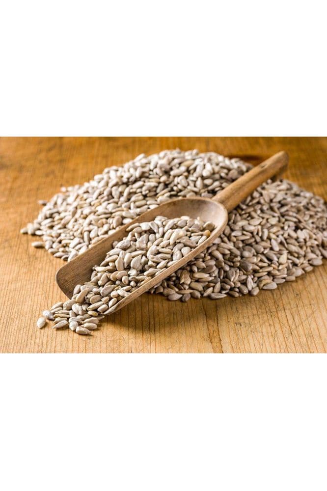 Organic Sprouted Sunflower Seeds, 12 Pounds - Non-GMO, Kosher, No Shell, Unsalted, Raw Kernels, Vegan Superfood, Sirtfood, Bulk