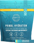 Electrolytes Powder Packets Primal Hydration by Primal Harvest, Easy Open Packets