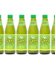 Ting Sparkling Jamaican Grapefruit Flavored Beverage 1014oz Glass Bottle Pack of 6 Total of 6084 Fl Oz