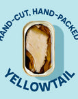 Wild Planet Wild Yellowtail Fillets in Organic Extra Virgin Olive Oil Skinless  Boneless Tinned Fish Sustainably WildCaught NonGMO Kosher Gluten Free Keto and Paleo 44 Ounce Single Unit