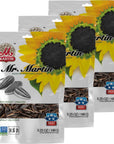 MR MARTIN Freshly Roasted Unsalted Sunflower Seeds  NonGMO Kosher Crunchy Delicious Vegan Keto Low Sodium Snack  525 Oz Unsalted 3 Pack