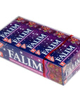 Falim Plain Gum  Forrest Fruits Flavoured 20 5  100 Pieces