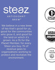 Steaz Organic Lightly Sweetened Iced Green Tea Blueberry Pomegranate 16 OZ Pack of 12