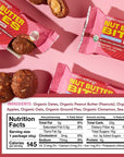 Sweet Nothings, Apple Cinnamon, USDA Organic Nut Butter Bites Protein Bar, Nut & Date Snack, Filled with Peanut Butter, 12-2 Bite Value Packs - No Added Sugar, Plant Based, Vegan, Only 7 Ingredients