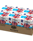 Ocean Spray Sparkling Diet Cranberry Juice Drink 115 Fl Oz Cans 4 Count Pack of 24