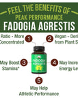 Fadogia Agrestis Ultra High Strength 10:1 Extract in Vegan Capsules. Support Athletic Performance, Boost Energy, Stamina. USA Tested Supplement for Men and Women