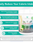 Plant Based Protein TruPLENISH Nutrition Shakes  Creamy Vanilla 183 oz Full of Vitamins Minerals Probiotics Glyconutrients  Over 20gms Protein Shakes Gluten MSG  Soy Free Protein Powder