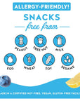 Blake’s Seed Based Snack Bar - Blueberry Lemon (12 Bars), Nut Free, Gluten Free, Dairy Free & Vegan, Healthy Snacks for Kids or Adults, Fruit Bar Flavor, Great for Breakfast, Organic