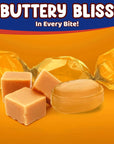 Butterscotch Hard Candy  3 Pounds Approx 225 Pieces of Creamy Butterscotch Drops  Bulk Candy for Holiday Season Holiday Candy Individually Wrapped Christmas Candy Perfect for Sharing and Gifting  Hard Candy Butterscotch