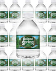 Poland Spring Water Bottles  Poland Spring Small Water Bottles Mini Water Bottle Poland Spring 8 oz Bottled Water 16 Pack  Bottled Poland Spring Water  Spring Water Bottles 16 Pack