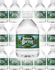 Poland Spring 100 Natural Premium Spring Water  8 Fl Oz Bottles  Pack of 16