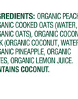 Sprout Organic Baby Food, Stage 2 Pouches, Peach Oatmeal with Coconut Milk and Pineapple, 3.5 Oz Purees (Pack of 12)