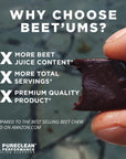 BEET'UMS Beet Chews - Premium Organic Beet Juice Powder Supplement - Nitric Oxide Energy & Blood Flow Circulation Support - Real Chocolate Pomegranate Health Chews with 7 Superfoods (30 XL Servings)