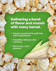 Ava Farms Organic White Popcorn Kernels  24 OZ Bag GlutenFree Non GMO  Natural Healthy Kosher Popping Corn  UnPopped