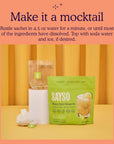 SAYSO Cocktail Tea Bags  Instant Cocktail Mixers or Mocktail Mixers  Drink a Skinny Spicy Margarita Mix in Seconds  No Hot Water Needed  All Natural Ingredients  Low Calorie Low Sugar